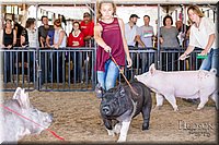 LCFAIR17-4734.jpg