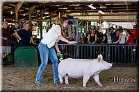 LCFAIR17-4736.jpg