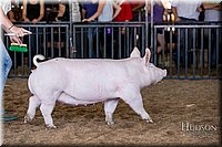 LCFAIR17-4737.jpg