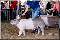 LCFAIR17-4738.jpg