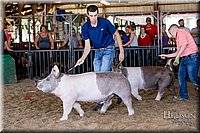 LCFAIR17-4740.jpg