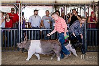 LCFAIR17-4742.jpg