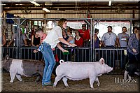 LCFAIR17-4744.jpg