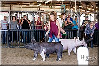 LCFAIR17-4746.jpg