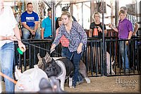 LCFAIR17-4748.jpg