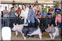 LCFAIR17-4752.jpg