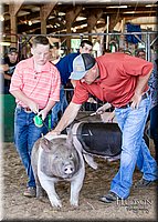 LCFAIR17-4753.jpg