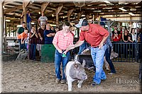 LCFAIR17-4755.jpg