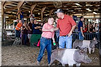 LCFAIR17-4762.jpg