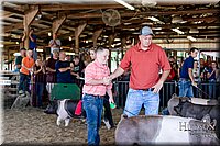 LCFAIR17-4766.jpg