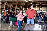 LCFAIR17-4767.jpg