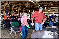 LCFAIR17-4768.jpg