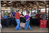 LCFAIR17-4776.jpg