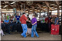 LCFAIR17-4777.jpg