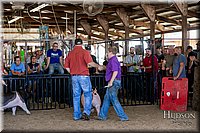 LCFAIR17-4781.jpg