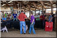 LCFAIR17-4782.jpg