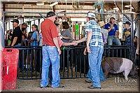 LCFAIR17-4791.jpg