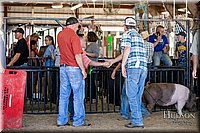 LCFAIR17-4792.jpg