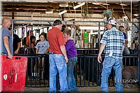 LCFAIR17-4794.jpg