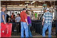 LCFAIR17-4795.jpg