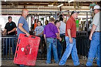 LCFAIR17-4799.jpg