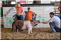 LCFAIR17-4801.jpg