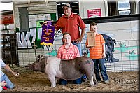 LCFAIR17-4813.jpg