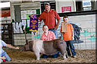 LCFAIR17-4816.jpg