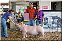 LCFAIR17-4829.jpg