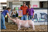 LCFAIR17-4830.jpg