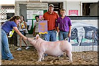 LCFAIR17-4833.jpg