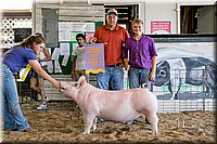 LCFAIR17-4835.jpg