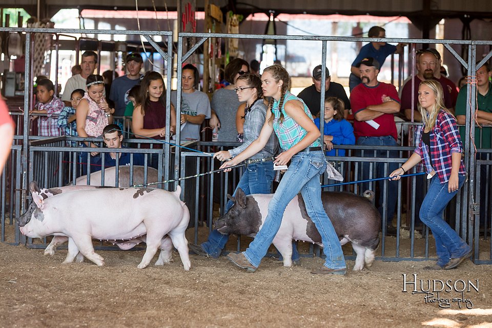 LCFAIR17-3728.jpg