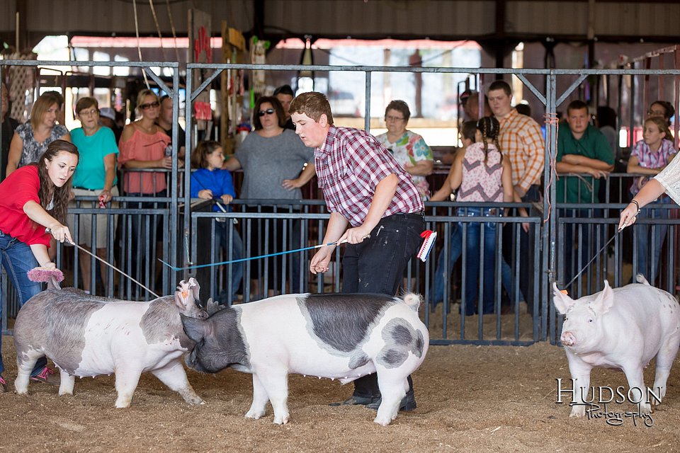LCFAIR17-3868.jpg