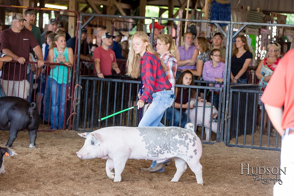 LCFAIR17-3883.jpg