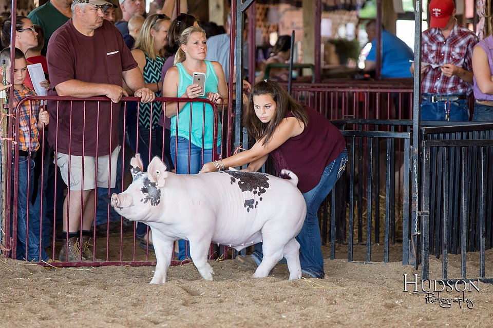 LCFAIR17-3900.jpg
