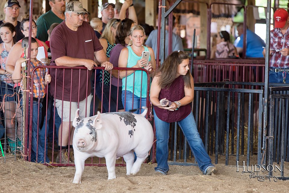 LCFAIR17-3901.jpg
