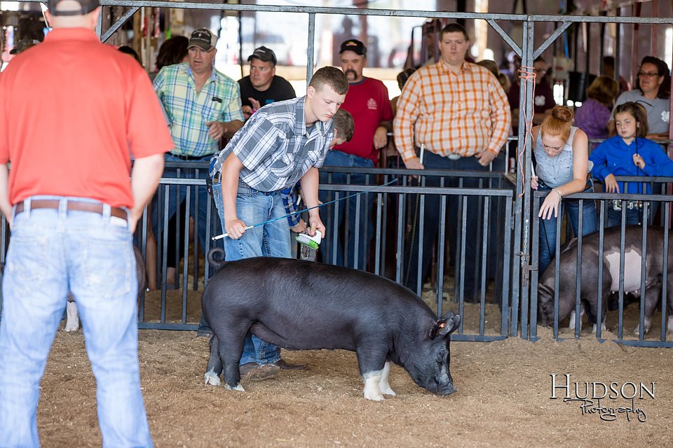 LCFAIR17-3914.jpg