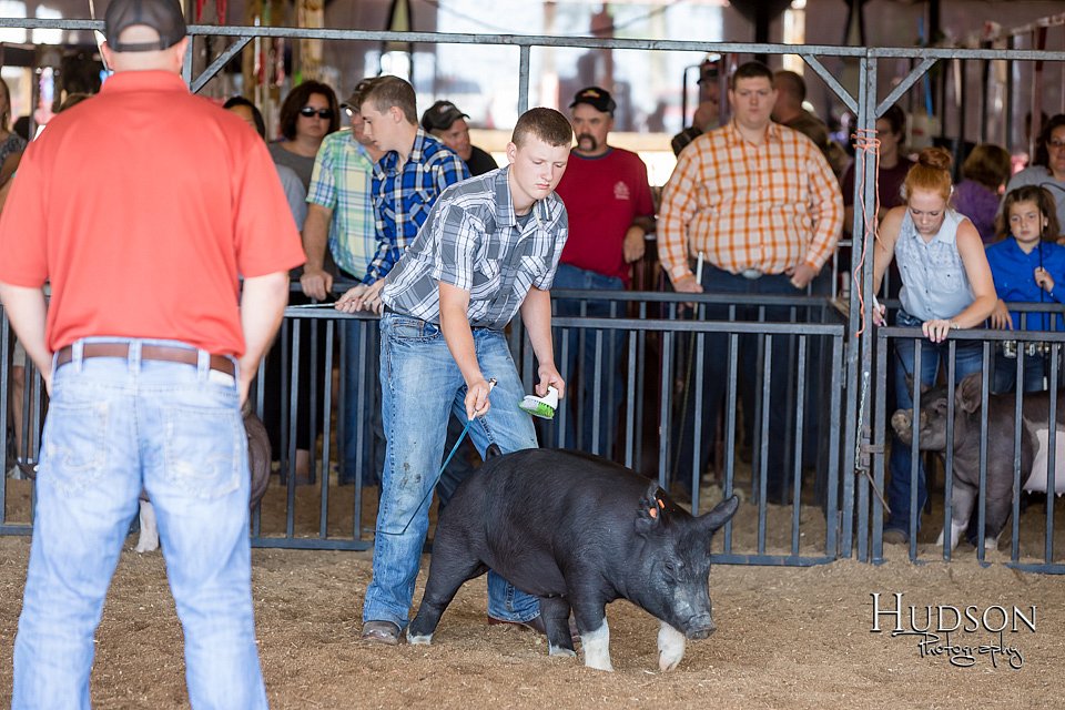 LCFAIR17-3915.jpg