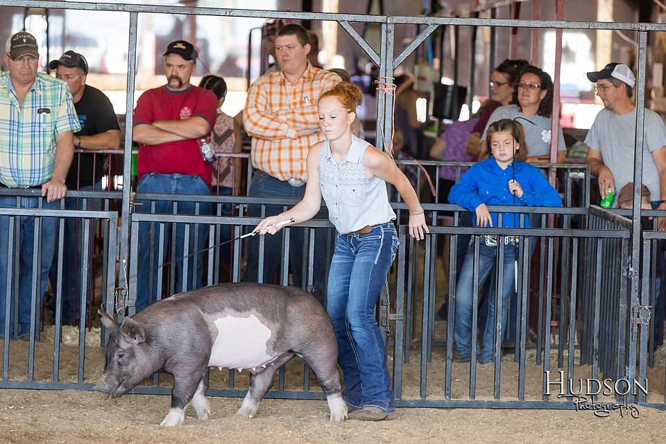 LCFAIR17-3917.jpg