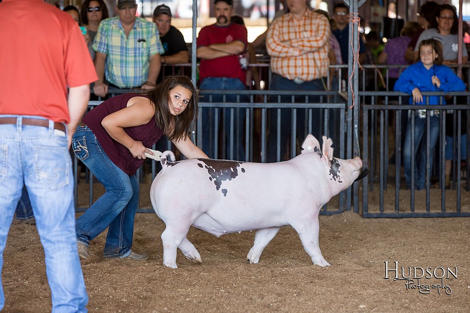 LCFAIR17-3919.jpg