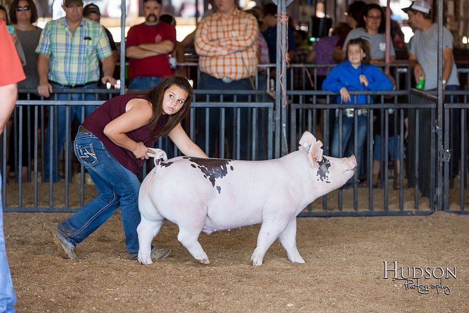 LCFAIR17-3920.jpg