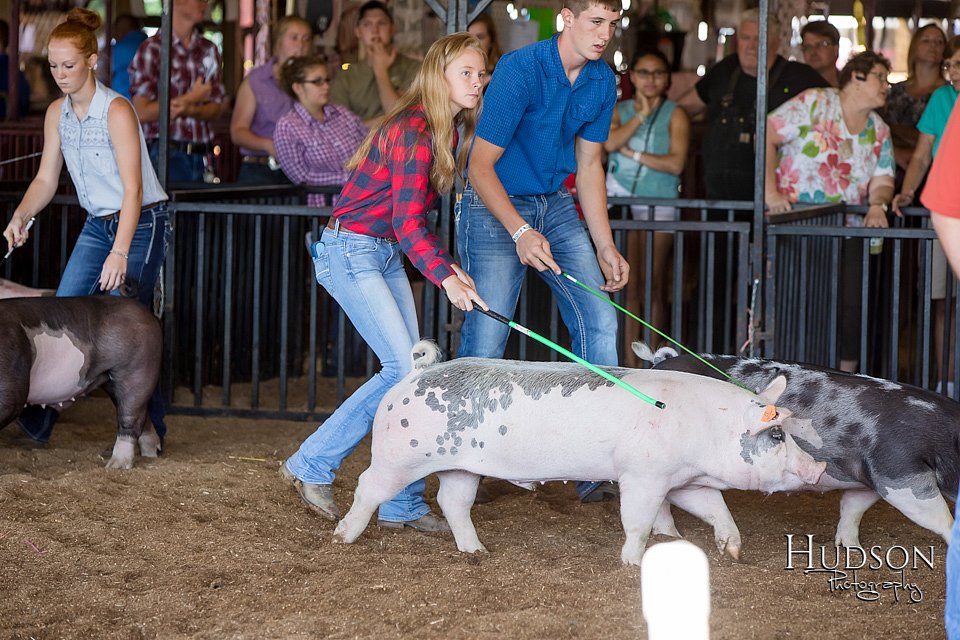 LCFAIR17-3923.jpg