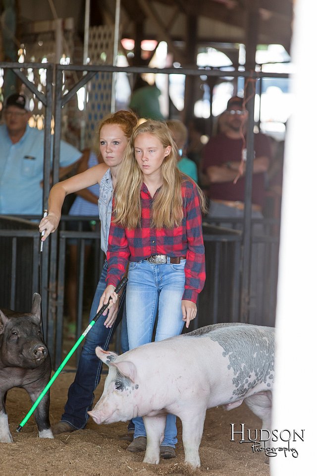 LCFAIR17-3937.jpg