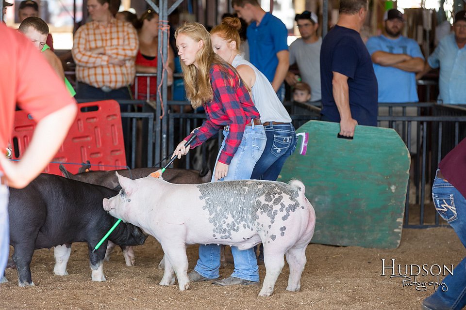 LCFAIR17-3939.jpg