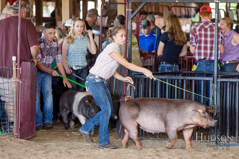 LCFAIR17-3948.jpg