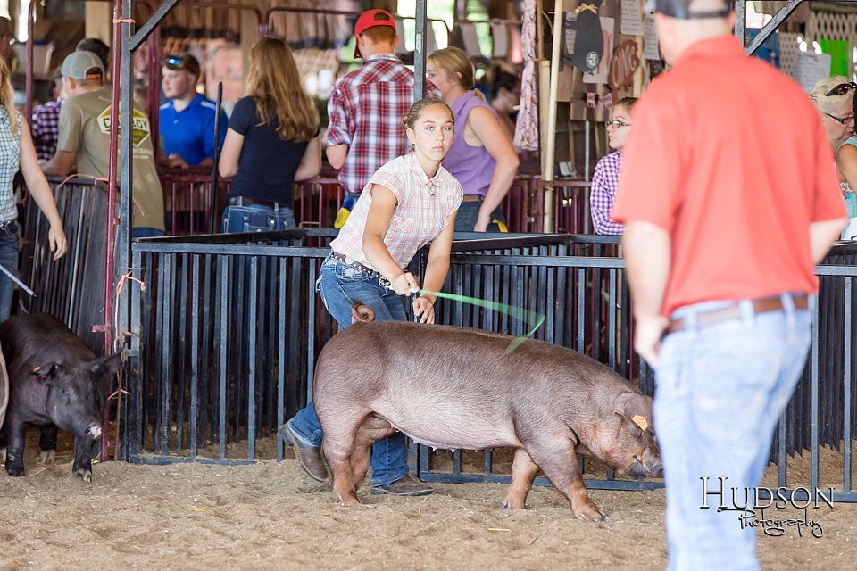 LCFAIR17-3949.jpg