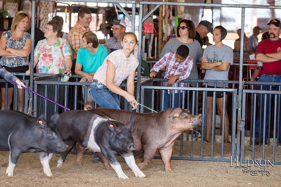 LCFAIR17-3950.jpg