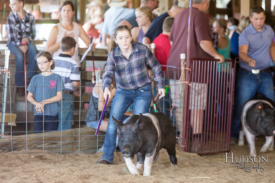 LCFAIR17-3953.jpg