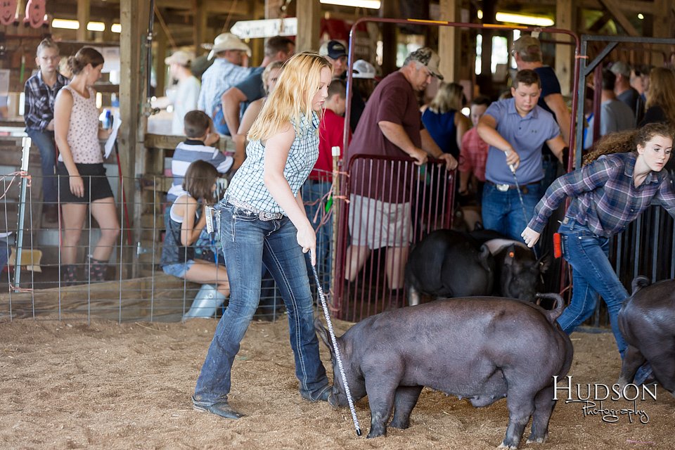 LCFAIR17-3955.jpg